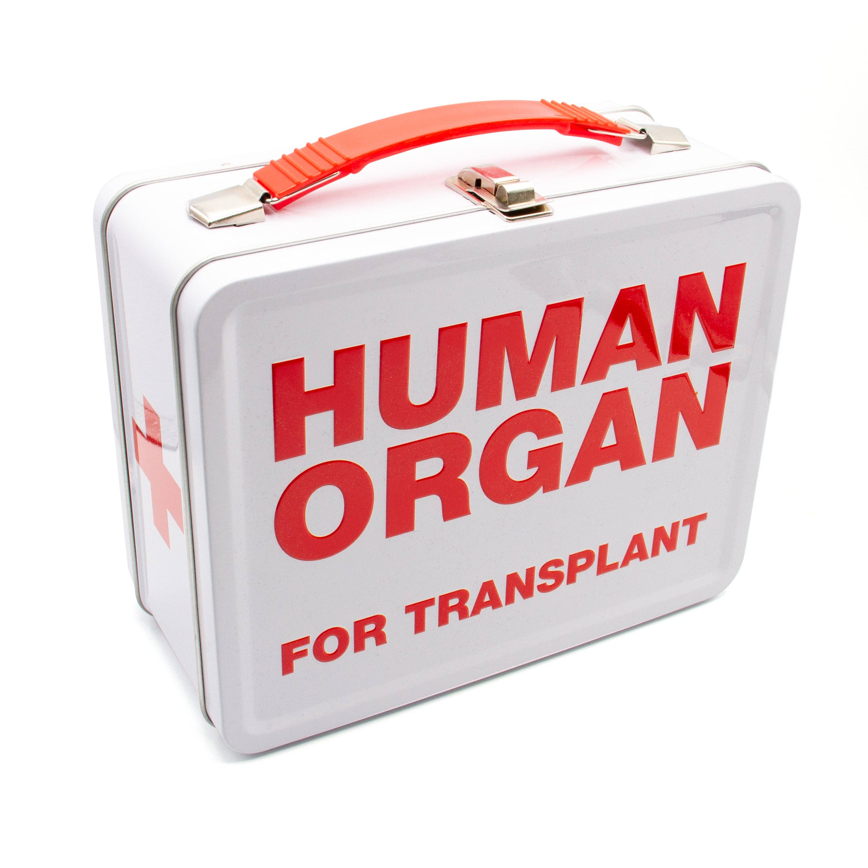 Human Organ Large Fun Box | Riggs Safety